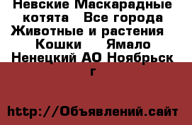 Невские Маскарадные котята - Все города Животные и растения » Кошки   . Ямало-Ненецкий АО,Ноябрьск г.